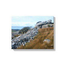 The Wild Moors Bodmin Moor Cornwall England