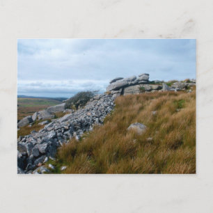 The Wild Moors Bodmin Moor Cornwall England Postcard