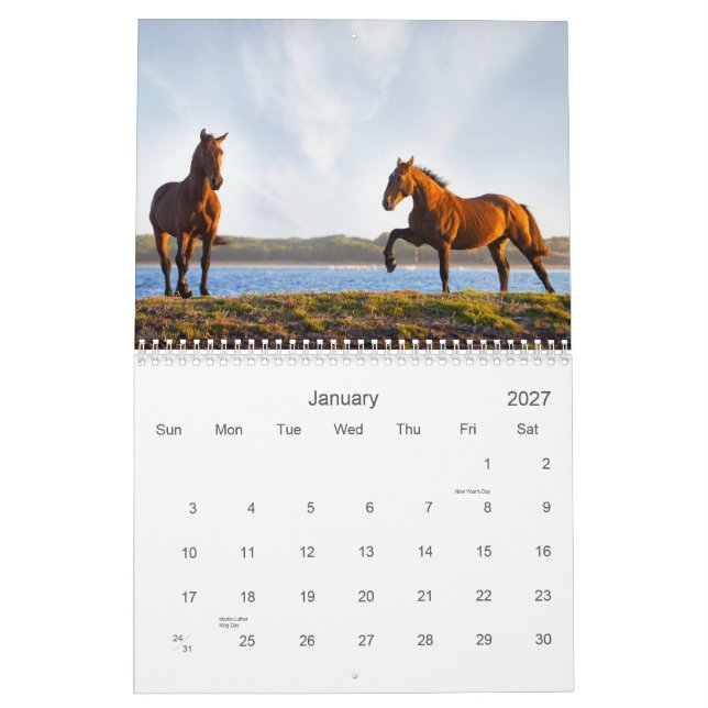 The Wild Ones Calendar (Jan 2027)