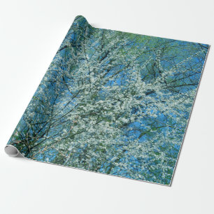 The wild plum tree in blossom wrapping paper
