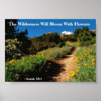 The Wilderness Shall Bloom Isaiah 35:1