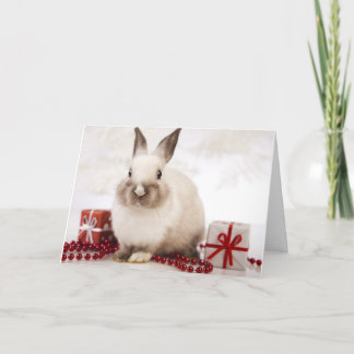 The WildRescue  Holiday Card!