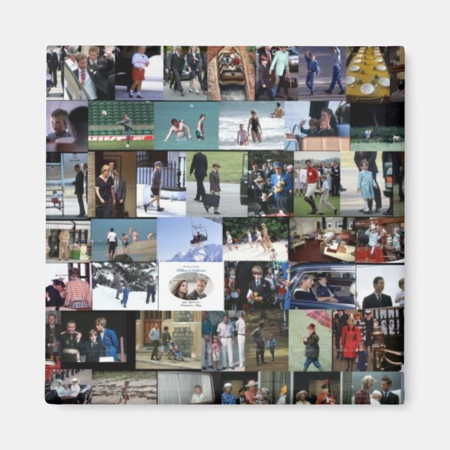 The William Collection images Magnet (Front)