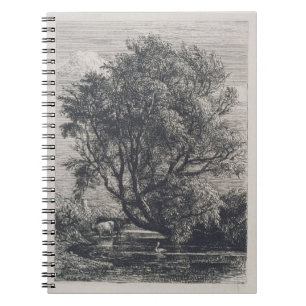 The Willow (etching) Notebook