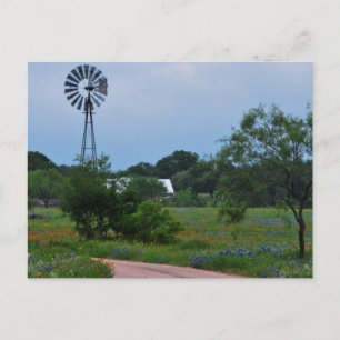 The Windmill in the Wildflowers Postcard