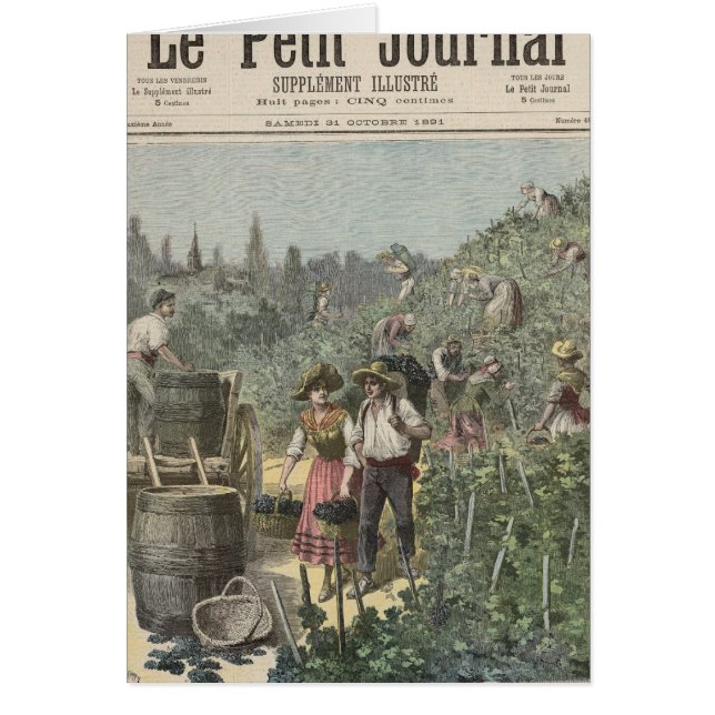 The Wine Harvest (Front)