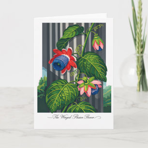 The Winged Passion Flower — Modern Botanical Reint Card
