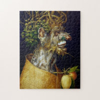 The Winter, Arcimboldo