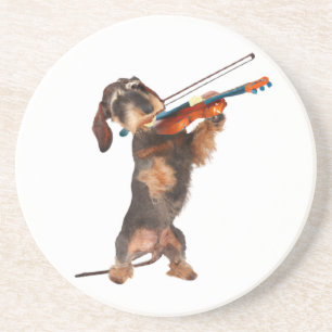 The Wirehaired Dachshund Playing A Violin Coaster