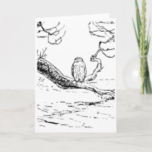 The Wise Old Owl on a Branch