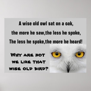 THE WISE OLD OWL poster