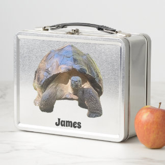The wise old Tortoise Metal Lunch Box