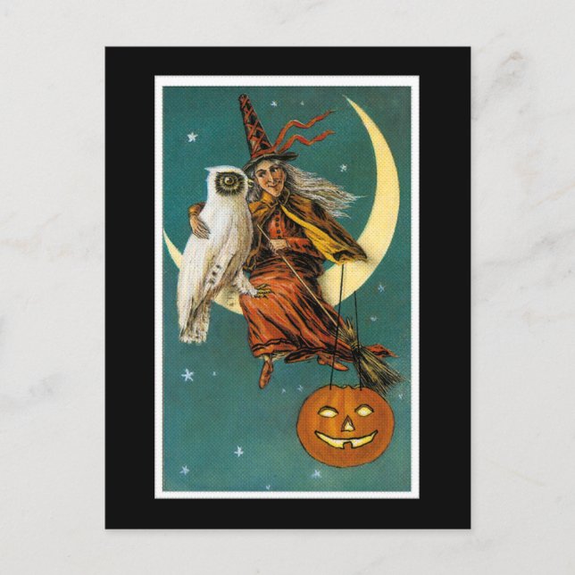 The Witch and Her Owl sitting on the Moon Postcard (Front)