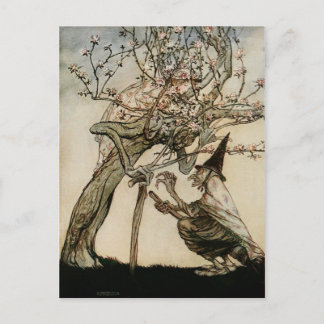The Witch and Old Lady Tree 1922 Postcard