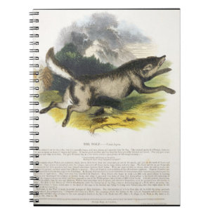 The Wolf (Canis lupus) educational illustration pu Spiral Notebook