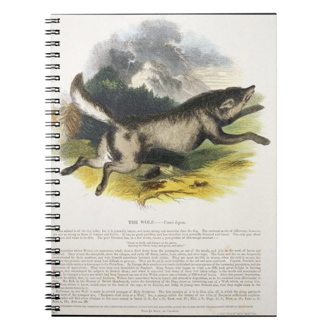 The Wolf (Canis lupus) educational illustration pu Spiral Notebook (Front)