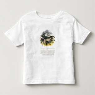 The Wolf (Canis lupus) educational illustration pu Toddler T-Shirt