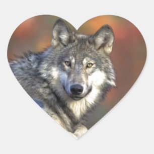 The Wolf Heart Sticker