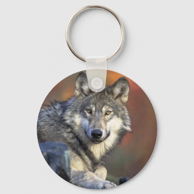 The Wolf Key Ring (Front)