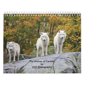 The Wolves of Canada (Calendar) Calendar