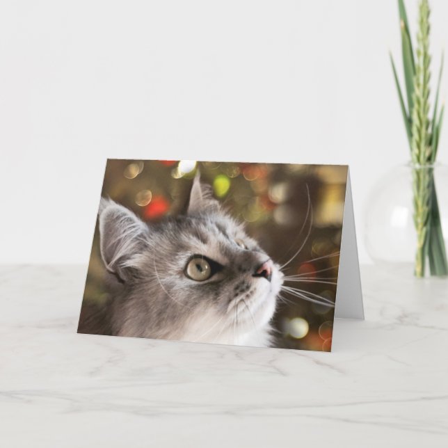 The Wonder of Christmas (Card) Holiday Card (Front)