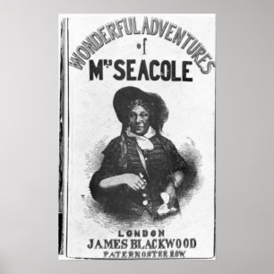 The Wonderful Adventures of Mrs Seacole' Poster
