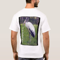 The Wood Stork