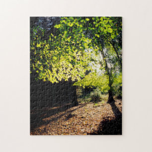 The Woods in Spring Jigsaw Puzzle