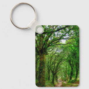 The woods outside of Palas de Rey  Key Ring