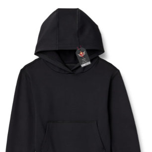 The WORK LOVE BALANCE back Script & Wing design Hoodie