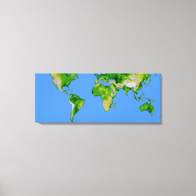 The World Canvas Print (Front)