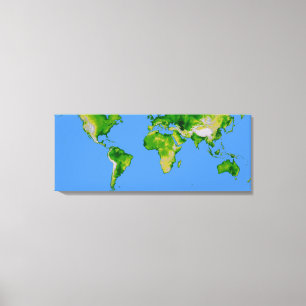 The World Canvas Print