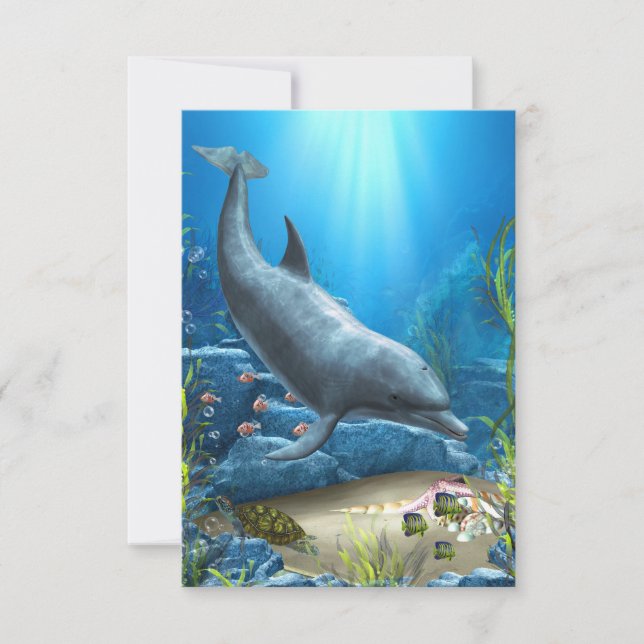 The world of the Dolphin (Front)