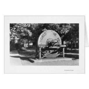 The Worlds Largest Grindstone Buffalo Ranch