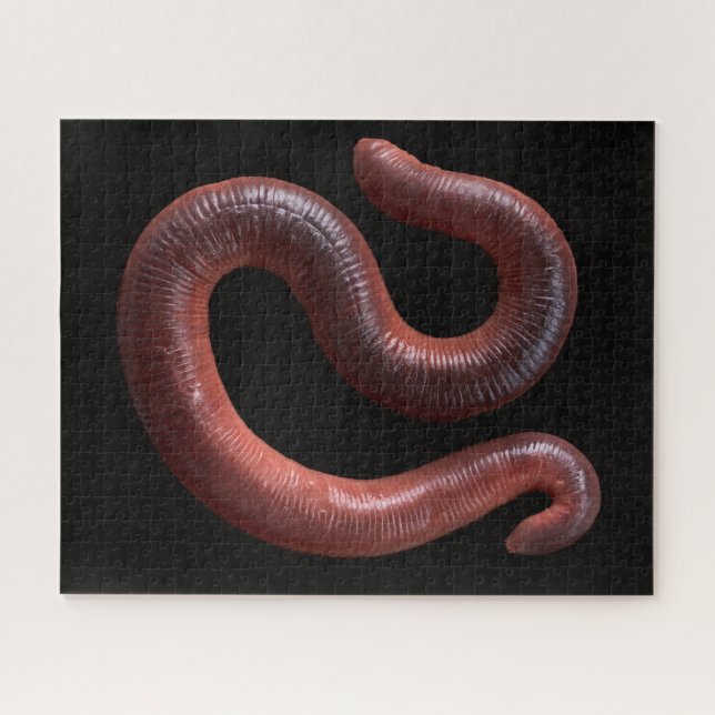     The Worm Collection  Jigsaw Puzzle (Horizontal)