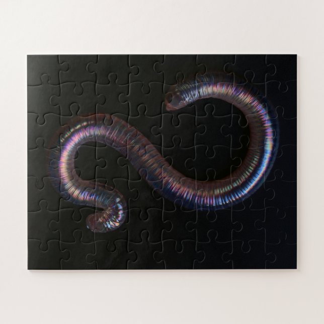     The Worm Collection  Jigsaw Puzzle (Horizontal)