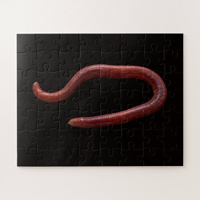     The Worm Collection  Jigsaw Puzzle (Horizontal)