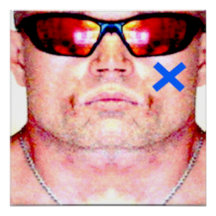 The X Revolution by X