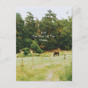 The Year Of The Horse, 2026,  Holiday Postcard