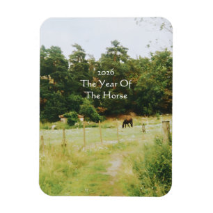 The Year Of The Horse, 2026, Magnet