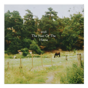 The Year Of The Horse, 2026, Poster