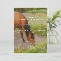The year of the Horse, 2026 qoute