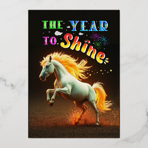 The Year To Shine