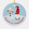 The Year we Stayed Home 2021 Gnome Christmas