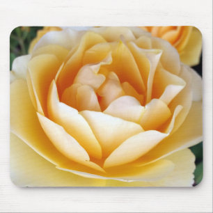 The Yellow Rose Mouse Pad