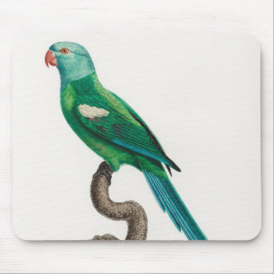 The Yellow-Shouldered Amazon, Amazona barbadensis Mouse Pad