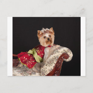 The Yorkie Queen Postcard