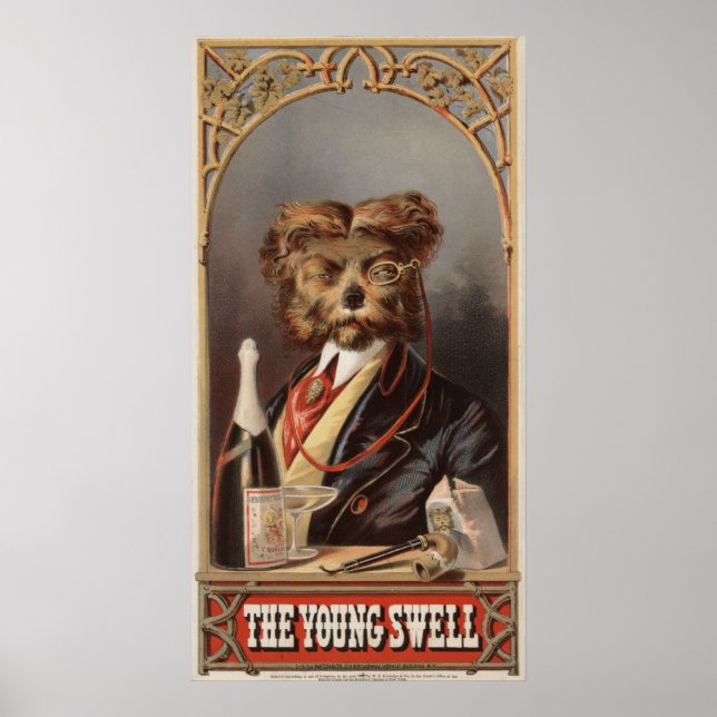 The Young Swell Poster (Front)