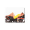 The Z1 & Cassie