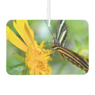 The Zebra Longwing Car Air Freshener